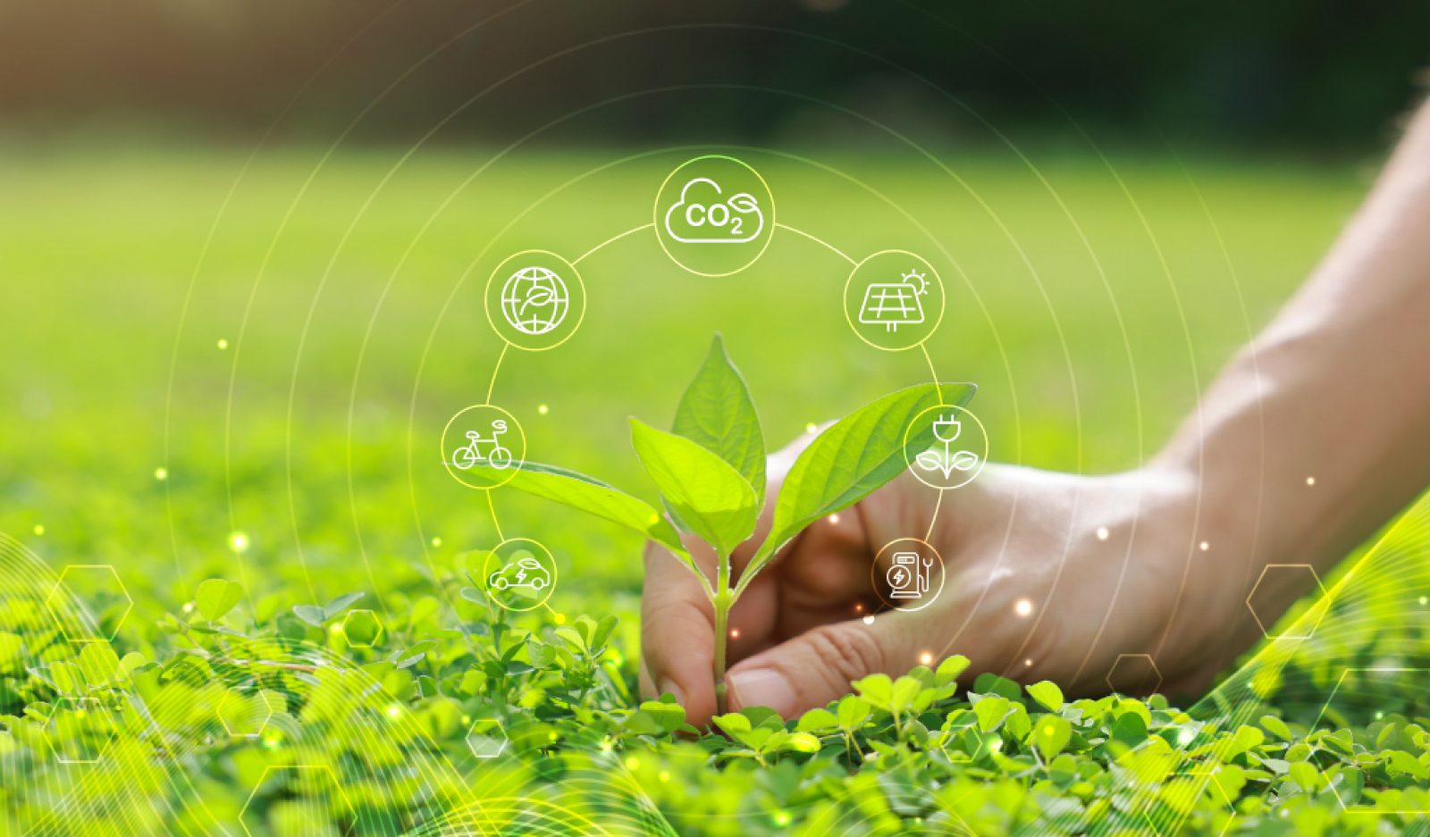 Sürdürülebilirlik Bir Tercih Değil, Gelecek Stratejisidir